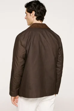 Blusão de gola de veludo cotelê 100% algodão orgânico