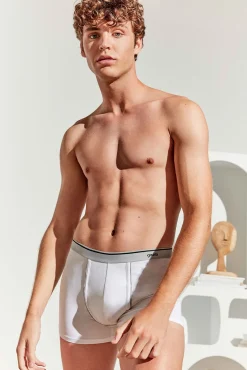 Boxer de homem