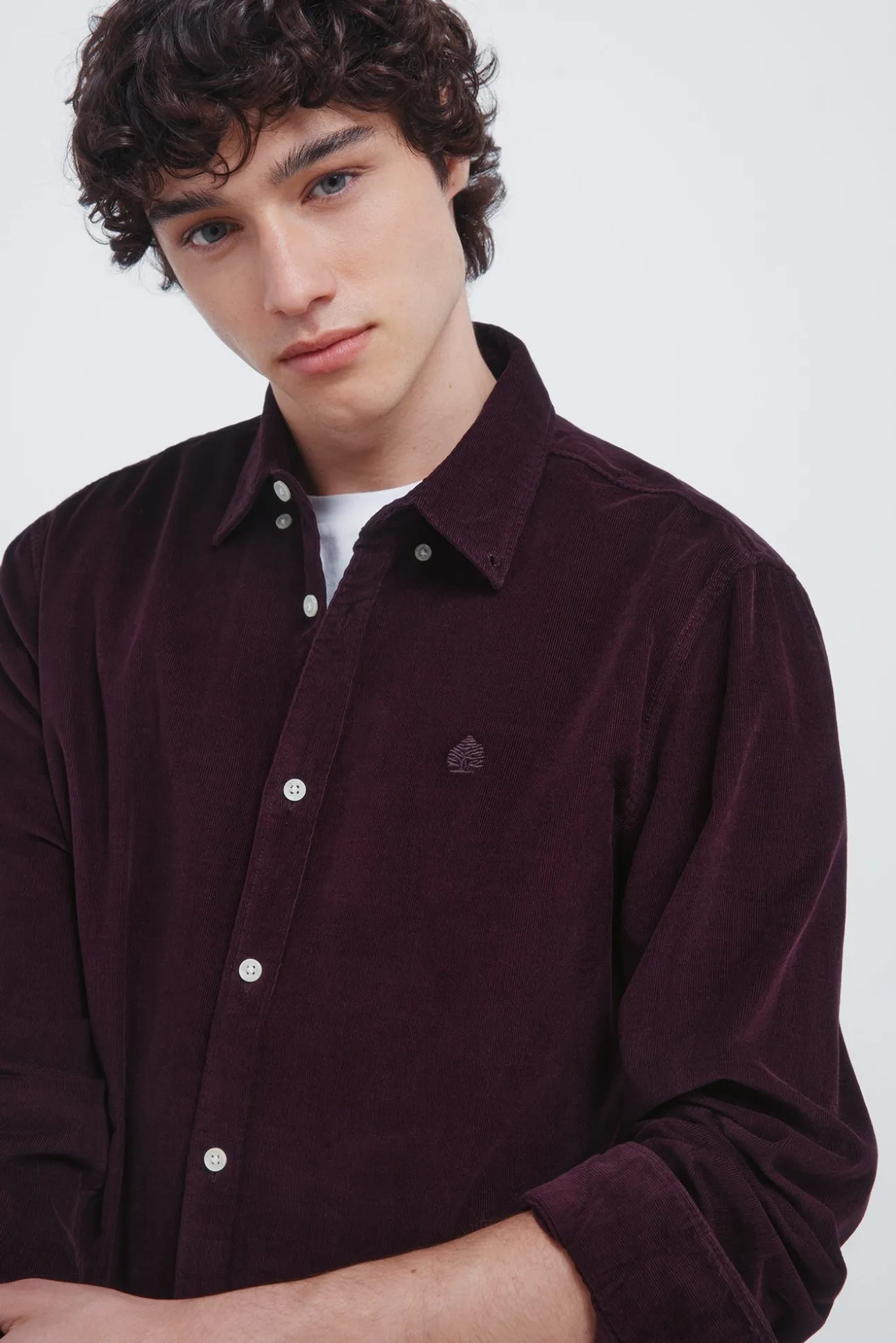 Camisa de micro veludo cotelê