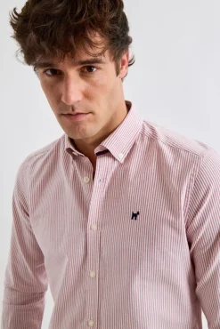 Camisa Oxford Listrada