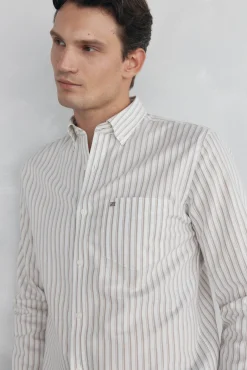 Camisa oxford riscas sem ferro