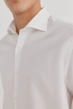 Camisa social lisa que não pode ser passada a ferro + resistente a manchas