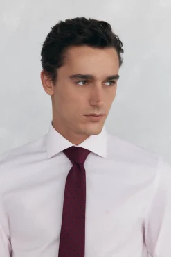 Camisa social lisa que não pode ser passada a ferro + resistente a manchas