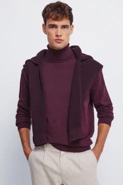 Camisola básico de gola