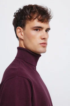 Camisola básico de gola