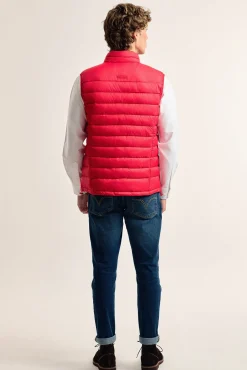 Colete acolchoado vermelho com faixa Valecuatro