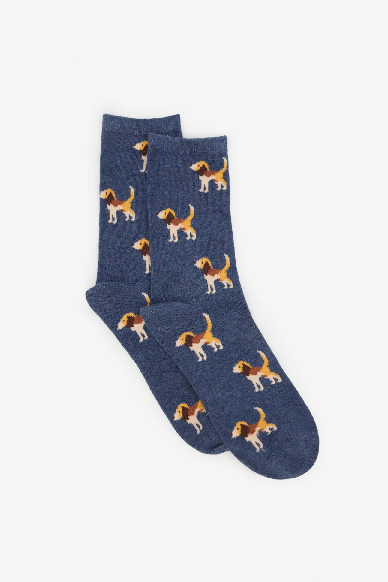 Meia longa Beagle