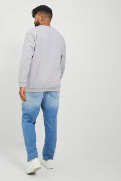 Moletom Plus Sweatshirt regular fit