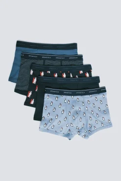 Pacote com 5 boxers de algodão estampados