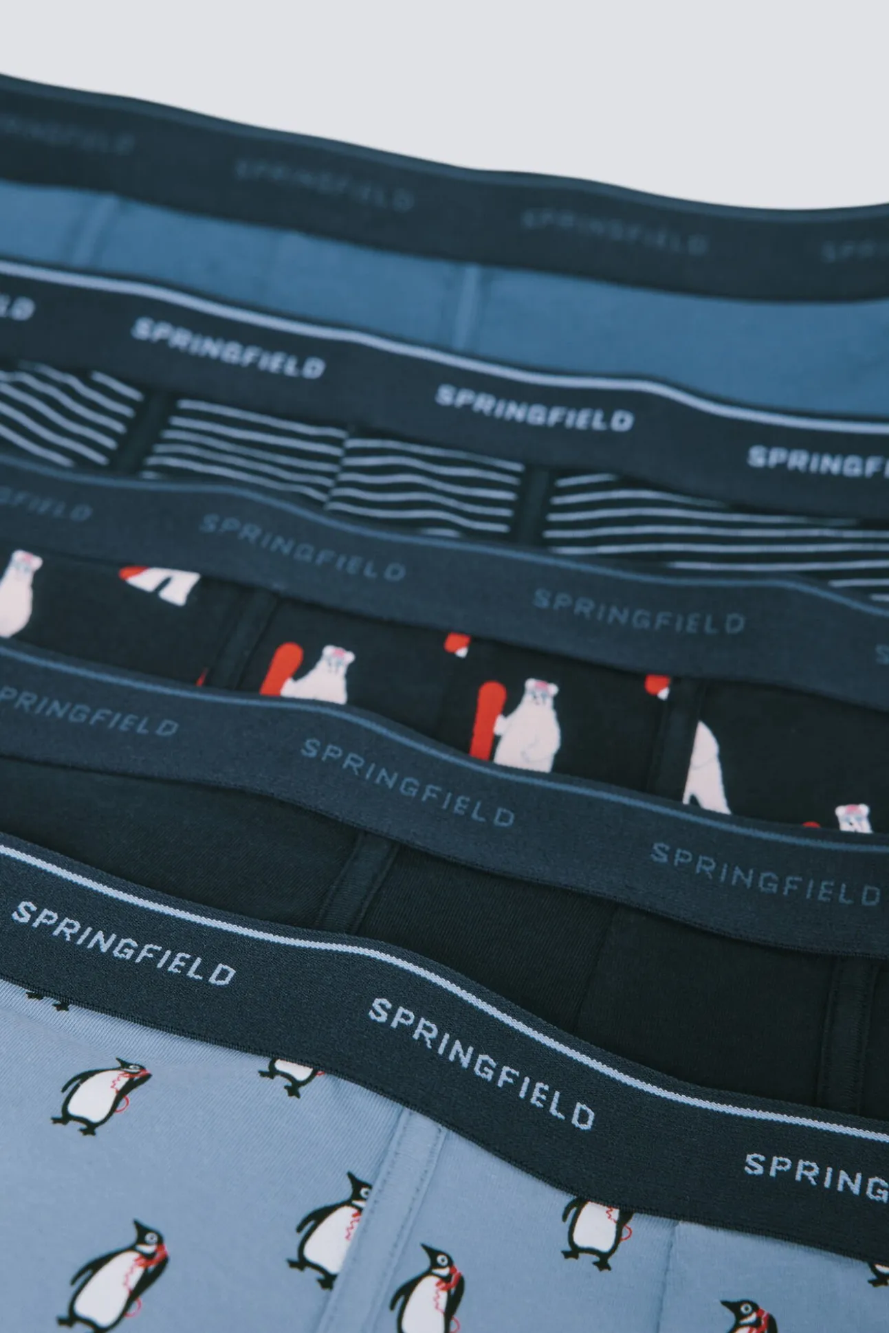 Pacote com 5 boxers de algodão estampados