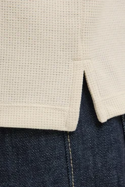 Polo de corte regular