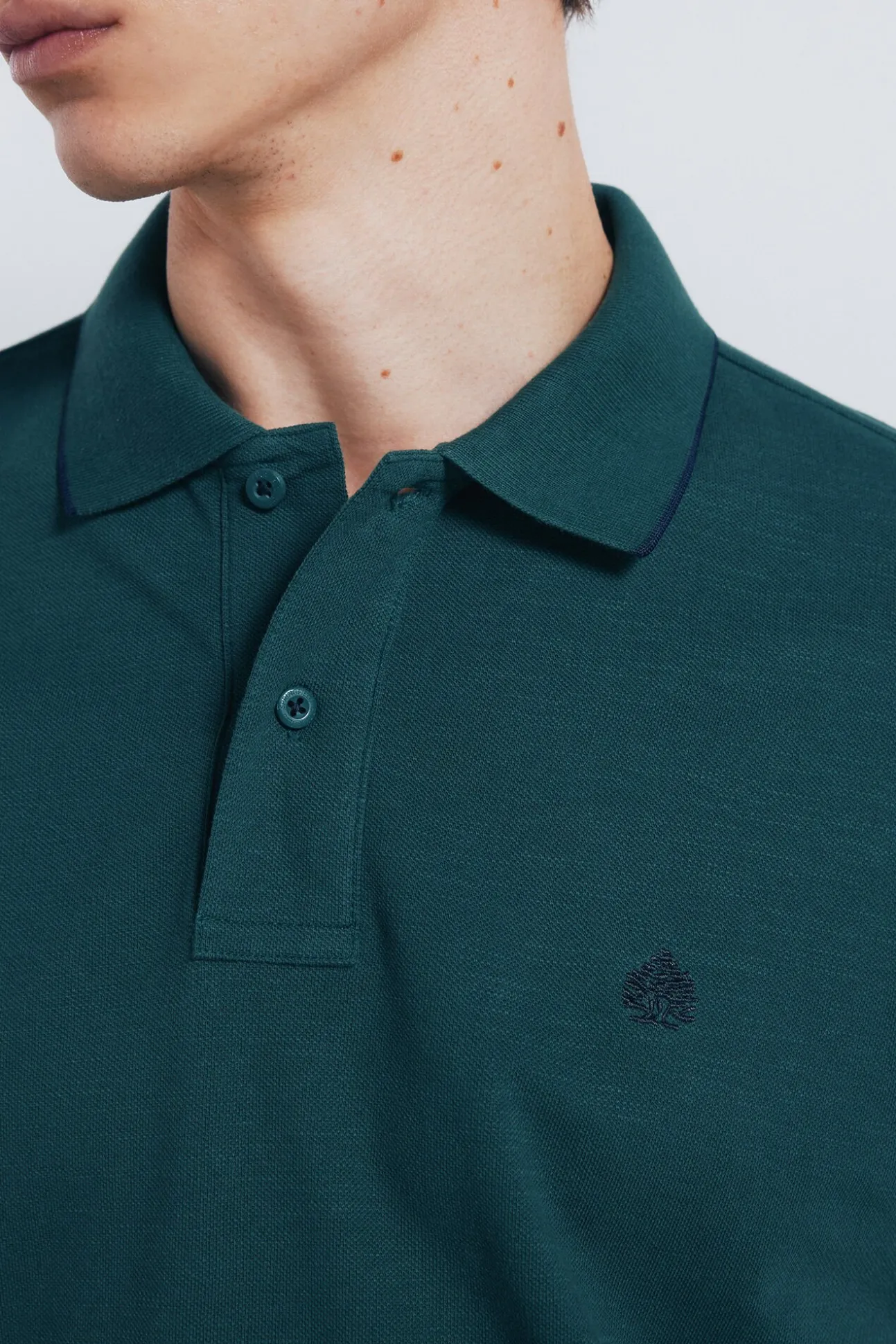 Polo piqué chique com gola canelada de corte regular