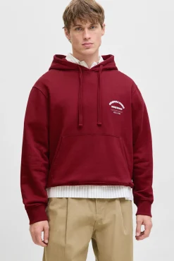 Sweatshirt capuz do estúdio