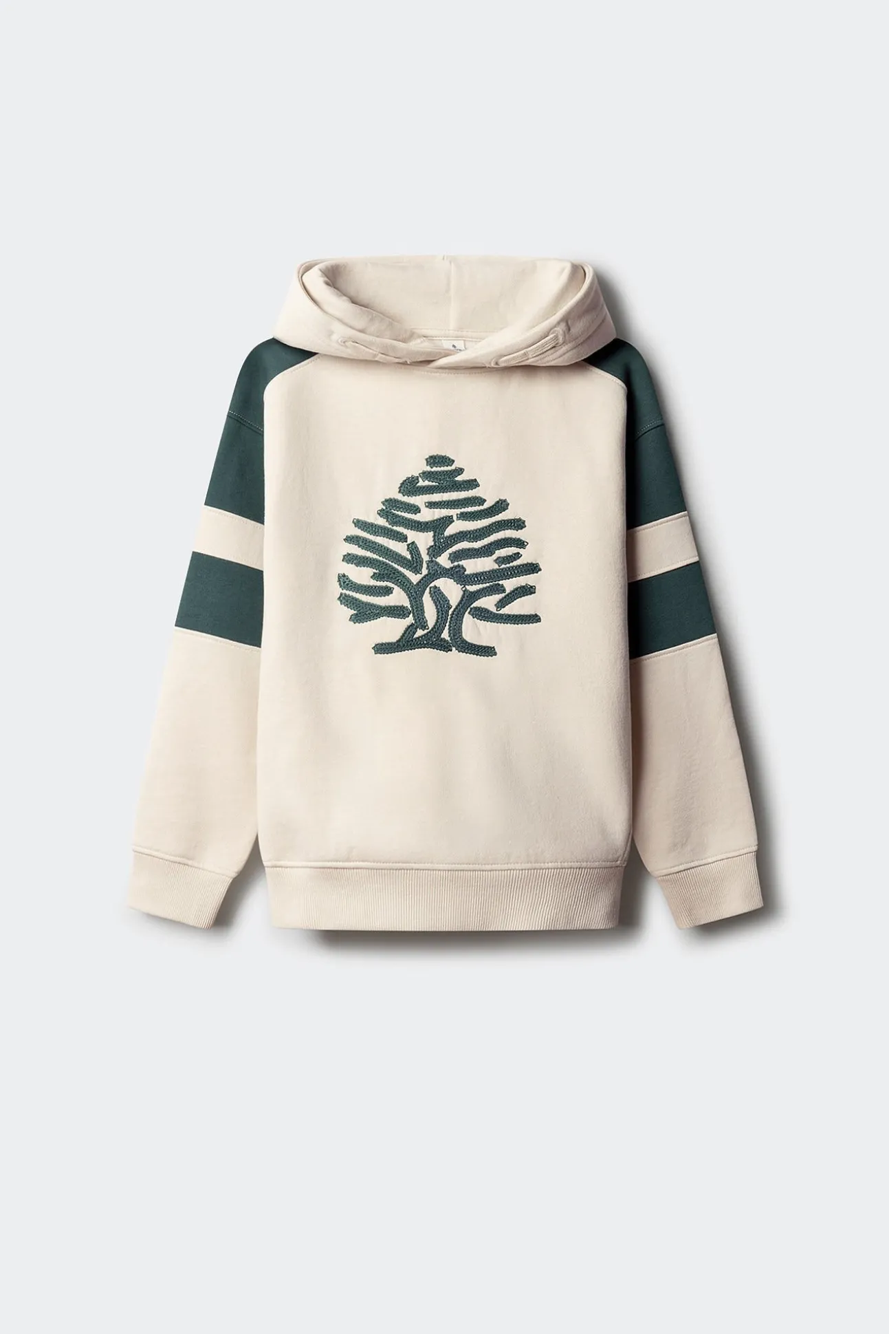 Sweatshirt de capuz