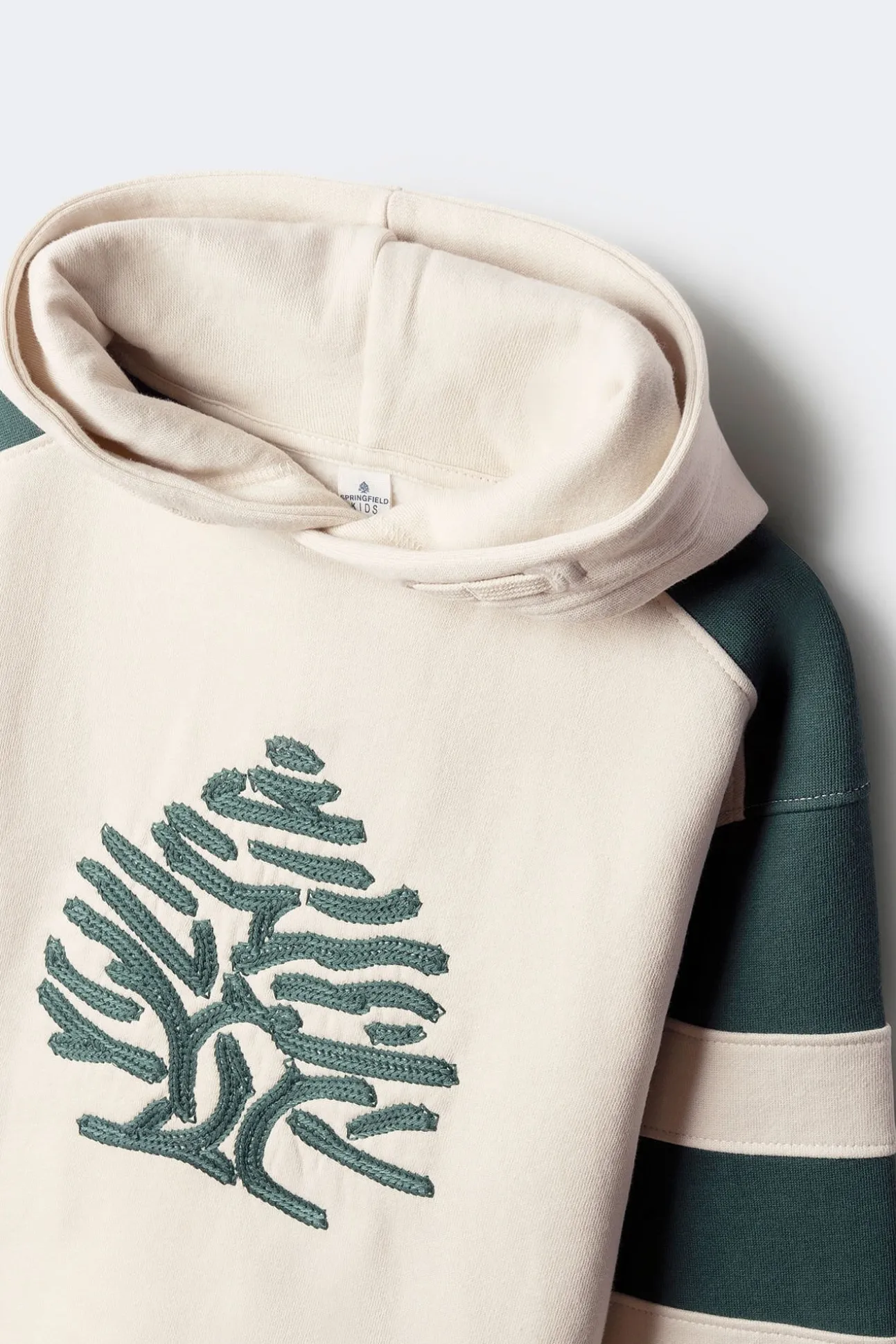 Sweatshirt de capuz