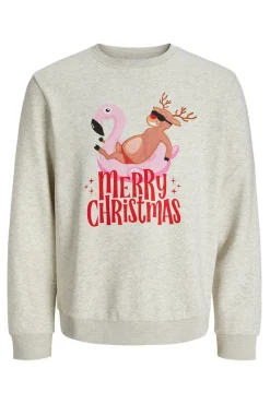 Sweatshirt de gola redonda de Natal